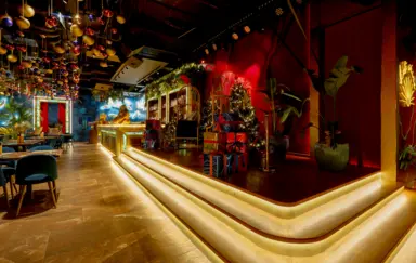 Baila Show & Dining - photo 4