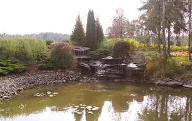 Zajazd KAMA Kowalski Skepe otoczenie