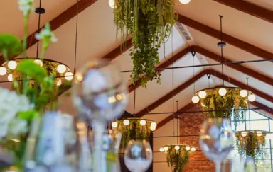 Rudy Las - zdjęcie 5