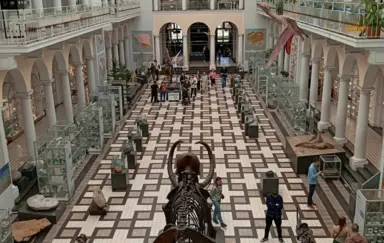 Muzeum Geologiczne Państwowego Instytutu Geologicznego - zdjęcie 4