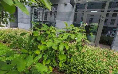 Cafe and Lounge Bar but Good Music First - zdjęcie 3