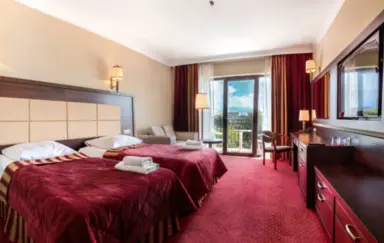 Hotel Doris Spa - photo 2