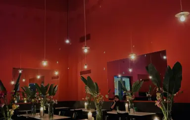 Paloma nad Wisłą - zdjęcie 2