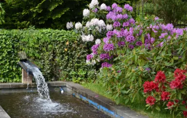 Jasny Dwór - photo 2