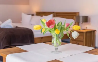 Pensjonat hotelowy Orlicka Skala Duszniki-Zdrój