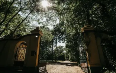 Nostalgia Sokolniki - zdjęcie 2