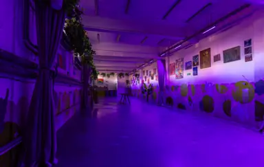 Wino-Grono.studio Oświetlenie UV