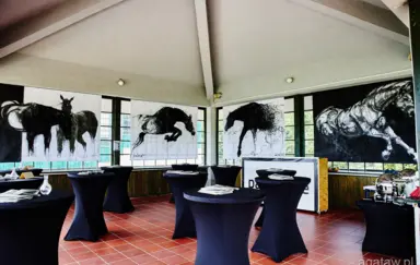 Wrocławski Tor Wyścigów Konnych - Partynice - zdjęcie 2