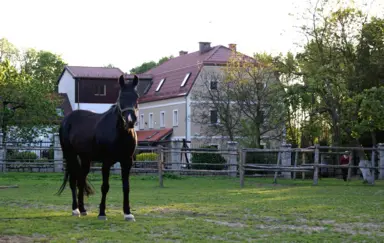 Ślężański Młyn - photo 4