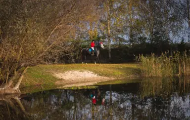 Hotel Karczma Stara Stajnia Pleszew otoczenie