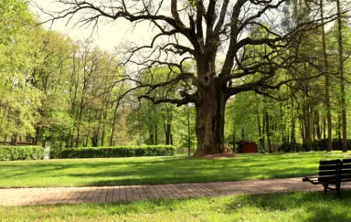 Hotel nad Mrogą - photo 4