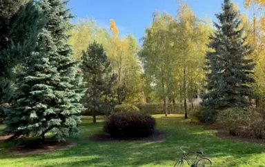 Better Academy Warszawa - zdjęcie 2