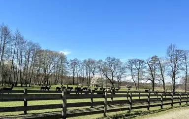 Dwór w Zgniłym Błocie - photo 5