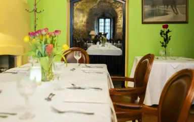 Zamek Dubiecko - photo 3