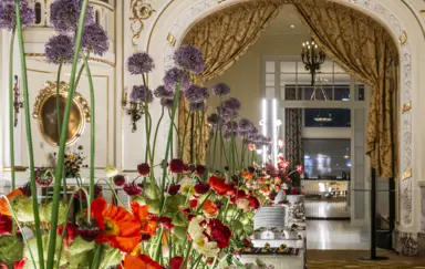 Hotel Polonia Palace Sala Balowa Ludwikowska