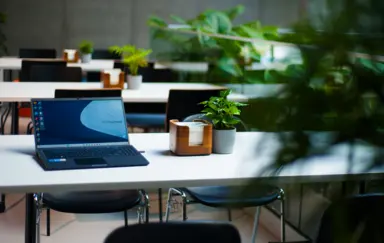 CEE – Egzotarium - photo 4