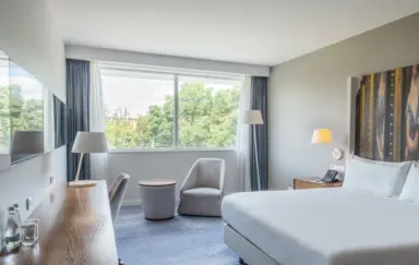 Pokój King Guest Room