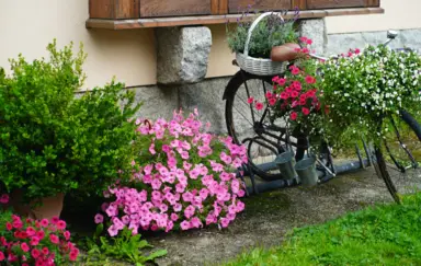 Margo Bukowiec - zdjęcie 2