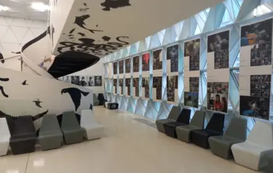 Opolski Teatr Lalki i Aktora Opole eventy