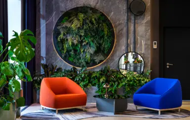 Zielona Ściana do zdjęć i wywiadów