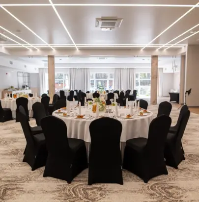 Skorzystaj z naszej wyszukiwarki już teraz!