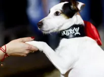 Whisky Bar 88 i Cigar Lounge