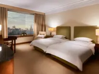 Deluxe Twin lub King