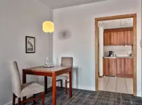 Apartament Business